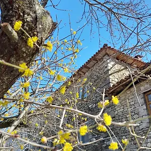 Bujtina Tusha Maison d'hôtes